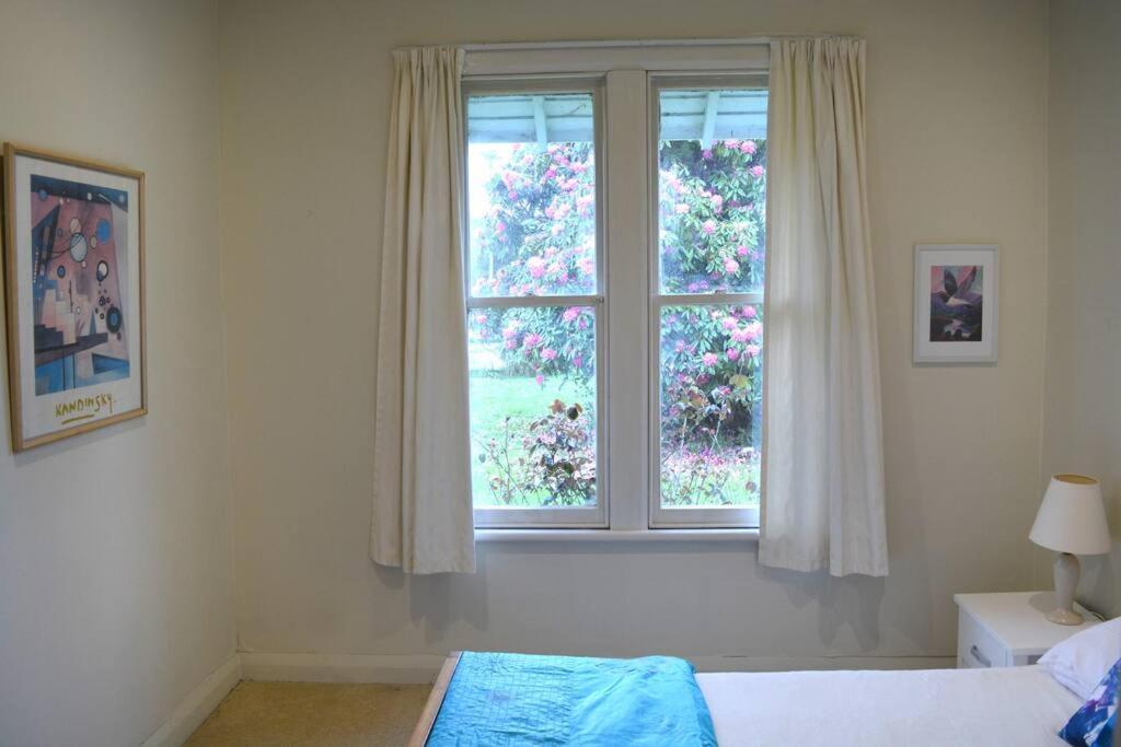 Riverlea Cottage - Cosy, Comfy, Quiet, Central Taumarunui Dış mekan fotoğraf