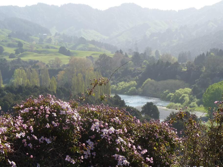 Riverlea Cottage - Cosy, Comfy, Quiet, Central Taumarunui Dış mekan fotoğraf