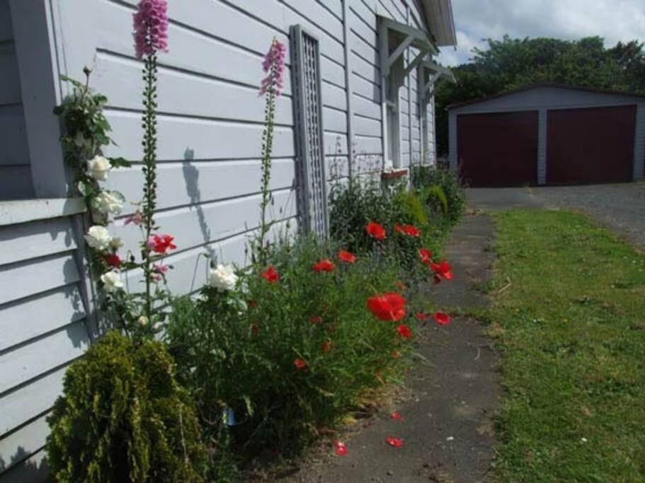 Riverlea Cottage - Cosy, Comfy, Quiet, Central Taumarunui Dış mekan fotoğraf